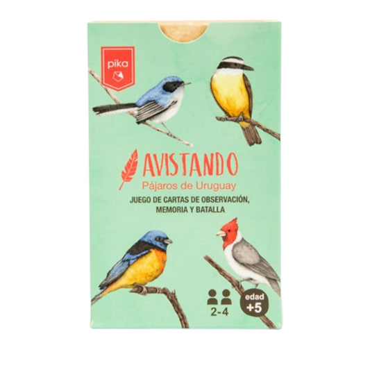 Avistando aves del Uruguay